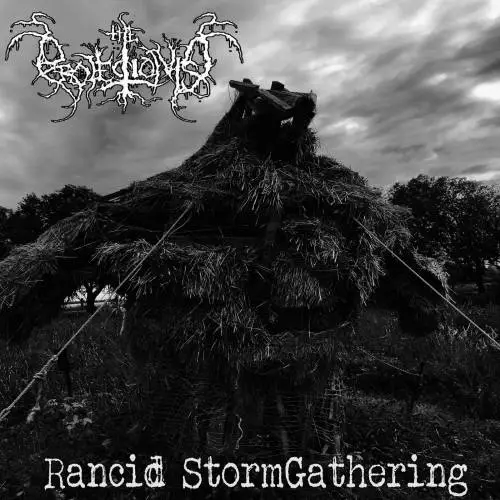 The Projectionist : Rancid Stormgathering